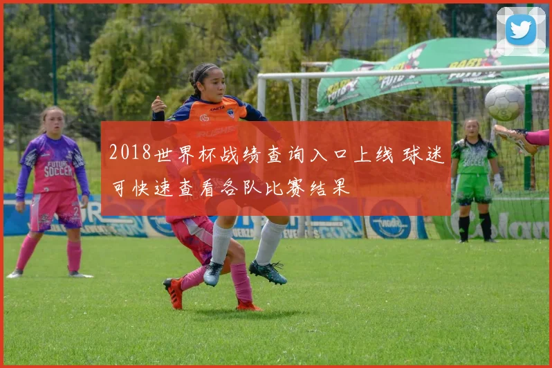 2018世界杯战绩查询入口上线 球迷可快速查看各队比赛结果