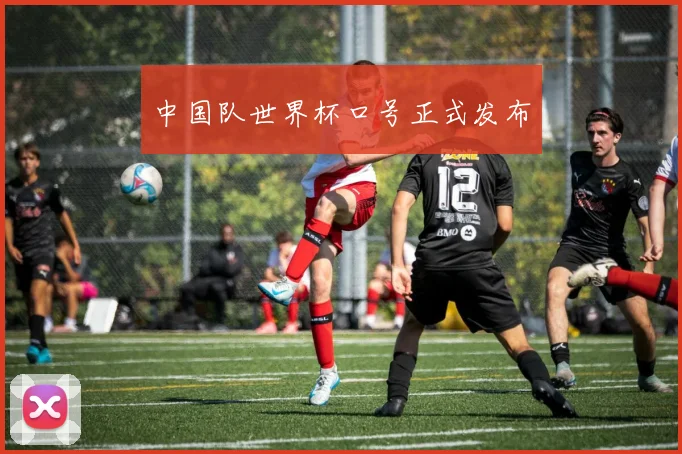 中国队世界杯口号正式发布