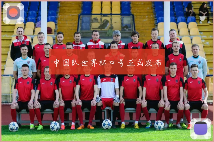 中国队世界杯口号正式发布