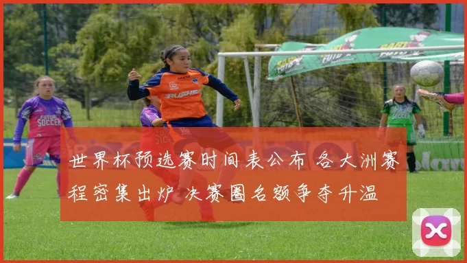 世界杯预选赛时间表公布 各大洲赛程密集出炉 决赛圈名额争夺升温
